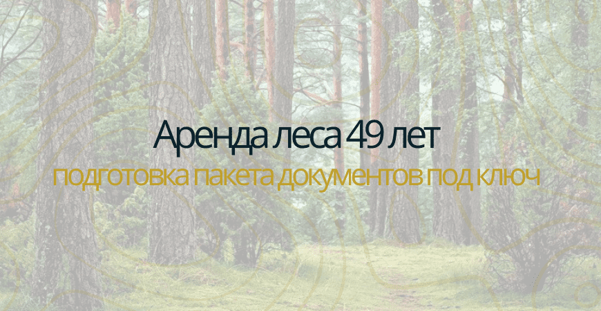 Аренда леса на 49 лет в Нижнем Новгороде