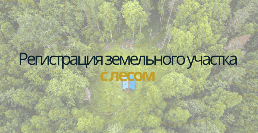 Земельный участок с лесом в Нижнем Новгороде и Нижегородской области